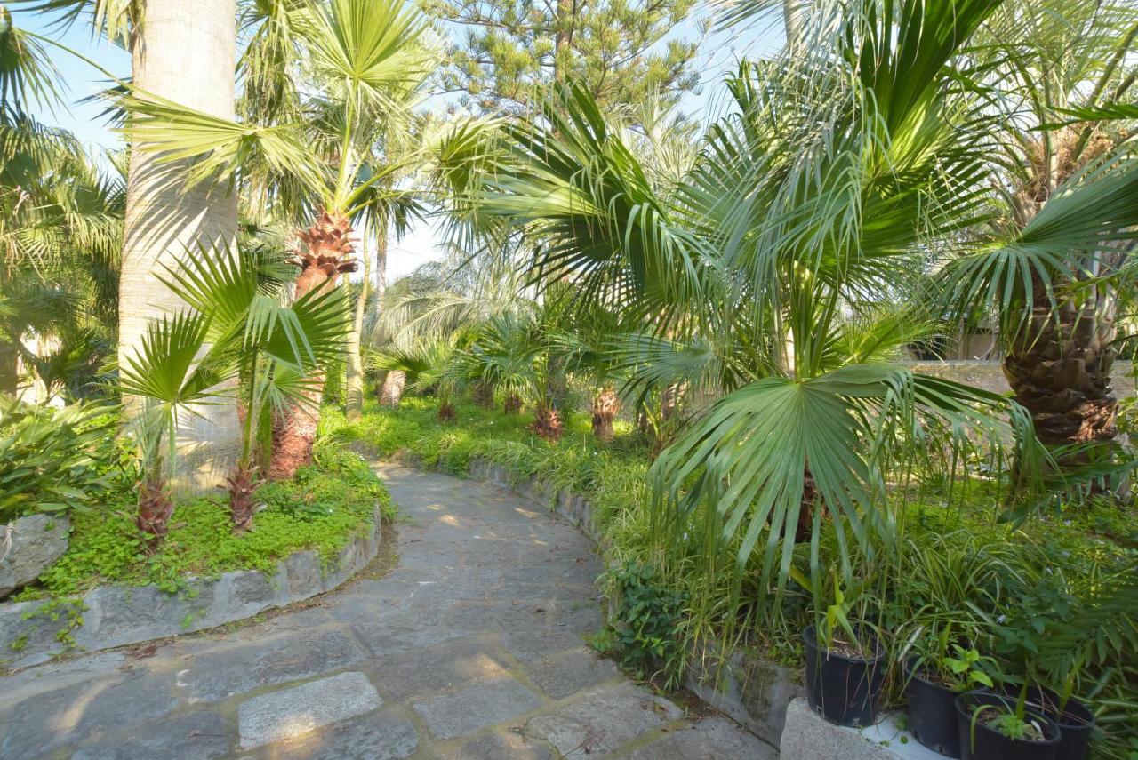 B&B Villa Regine Forio di Ischia Buitenkant foto